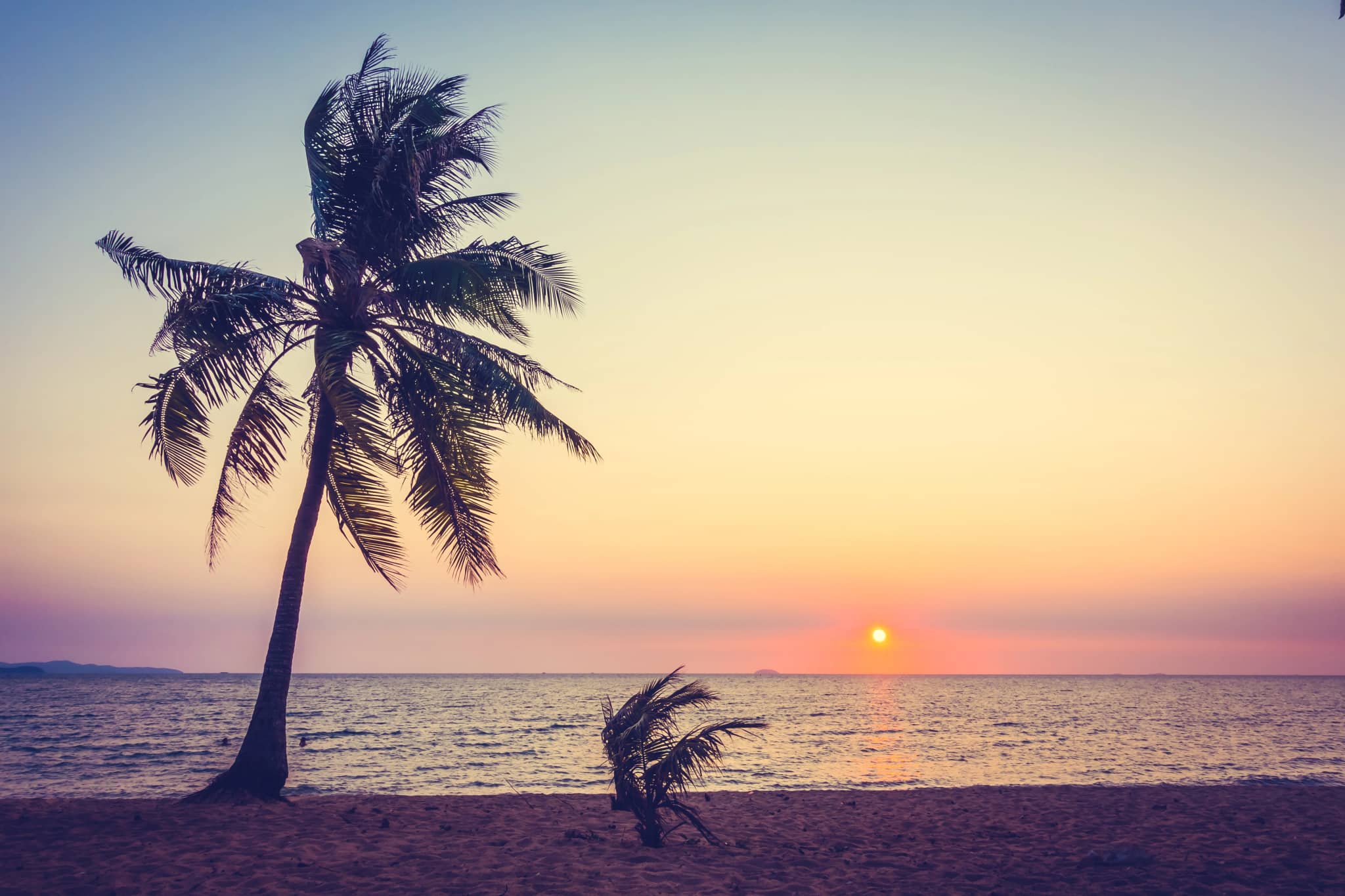 Goa by Bus 2026: Beaches, Nightlife & Complete Group Tour Guide