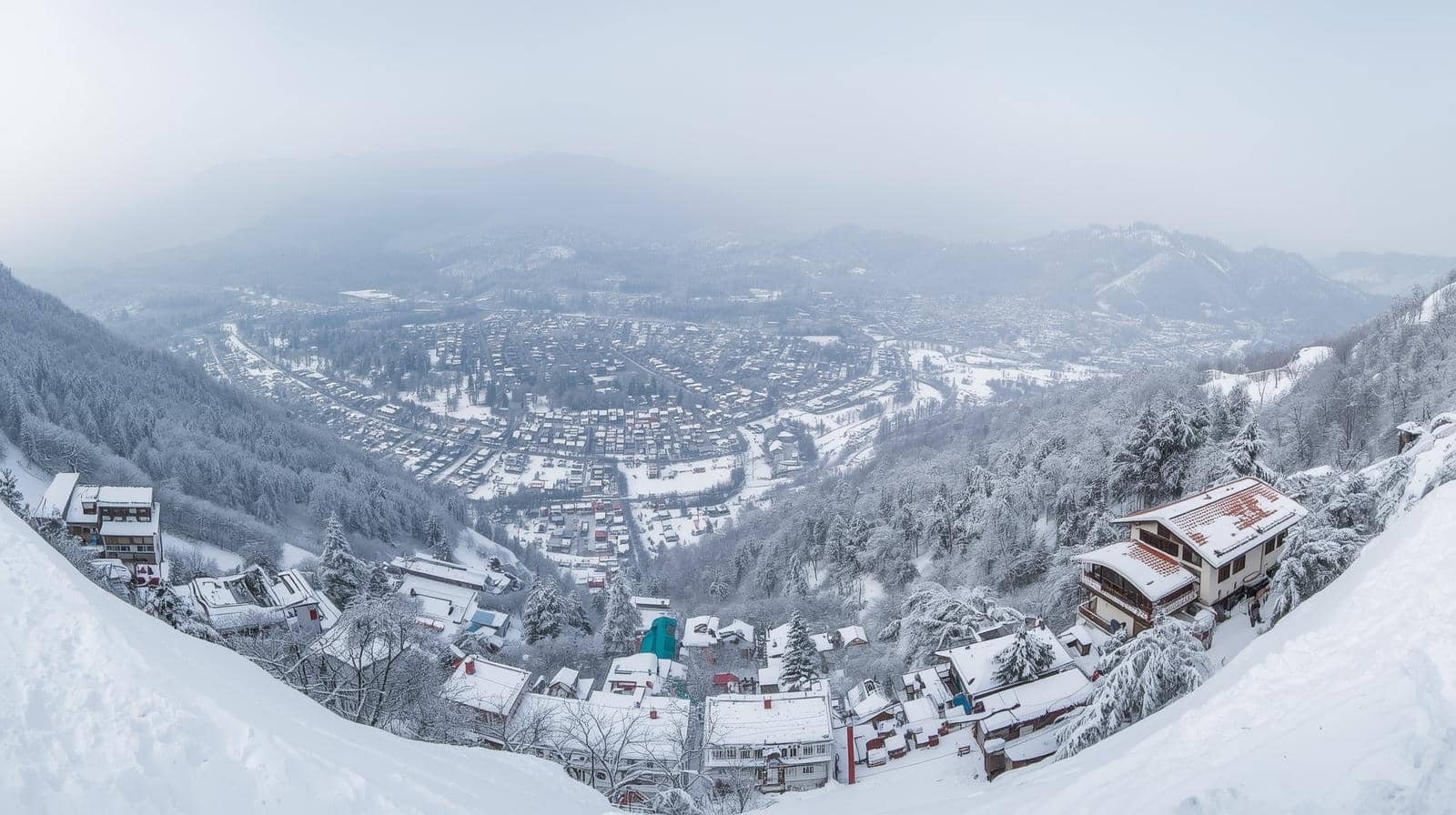 Driving in North India in Winter: Fog, Hill Roads and What Our Drivers Do