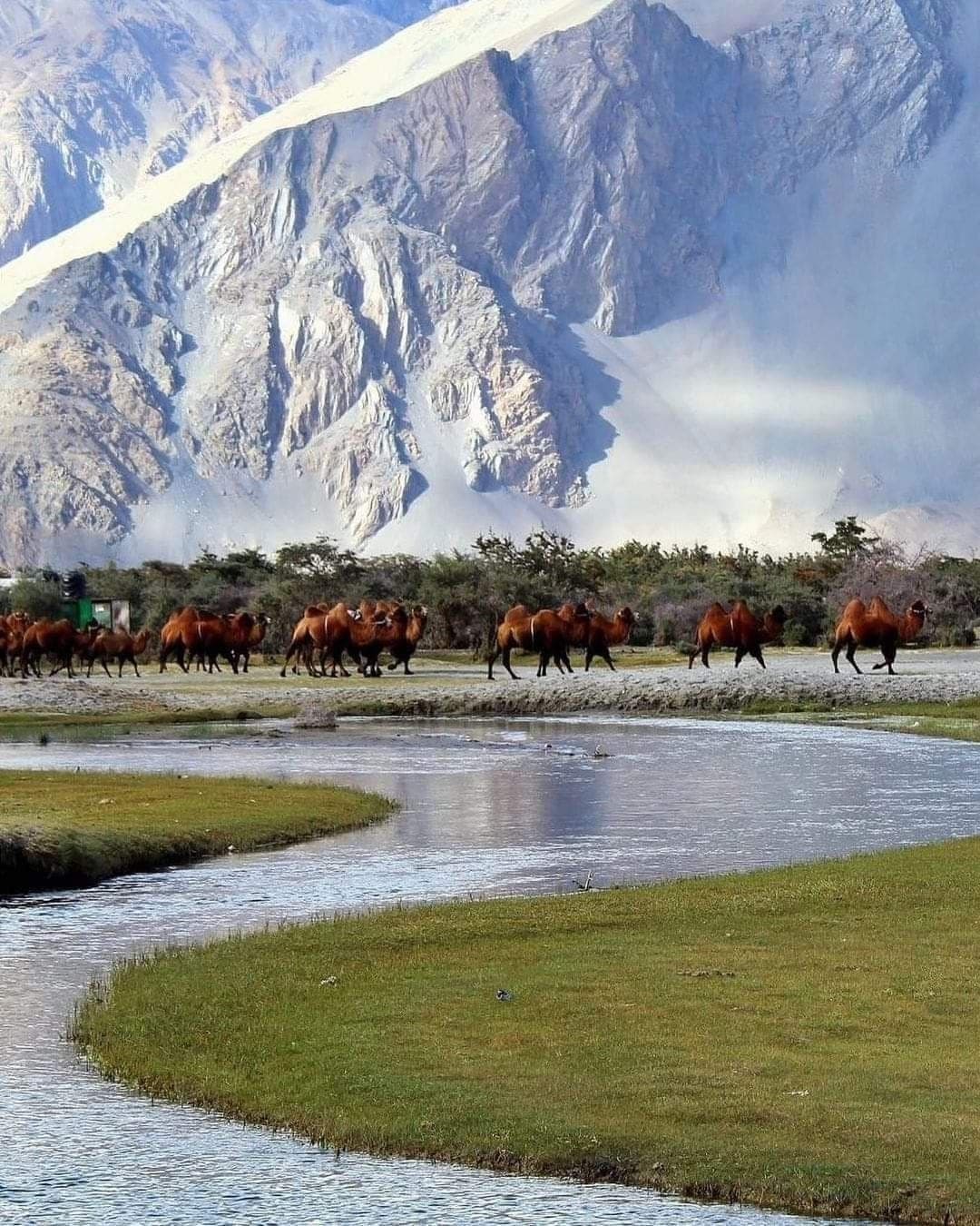 Nubra Valley