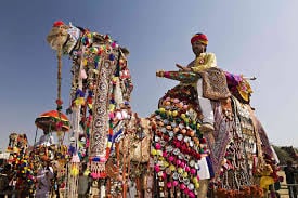 Pushkar Mela (Camel Fair) at Pushkar, Rajasthan — cab & tempo hire from Delhi with Triveni Cabs