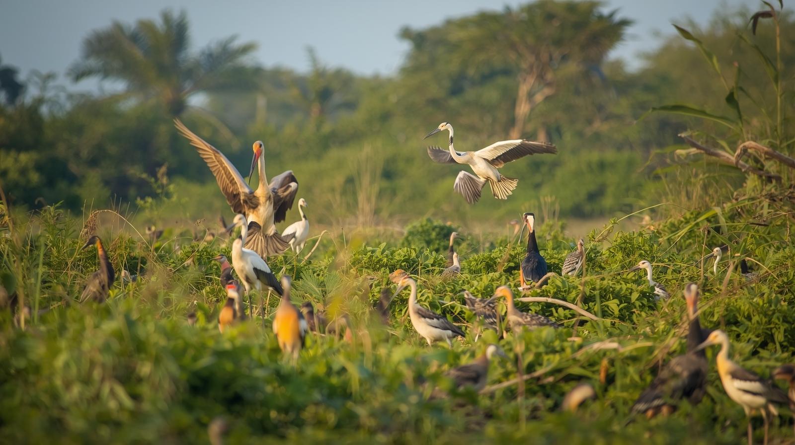Agra to Bharatpur (Same Day)