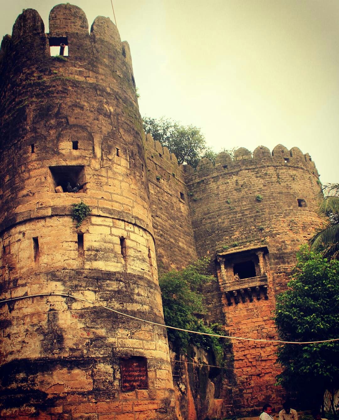 Ahmedabad to Junagadh Wildlife & Heritage (2 Days)