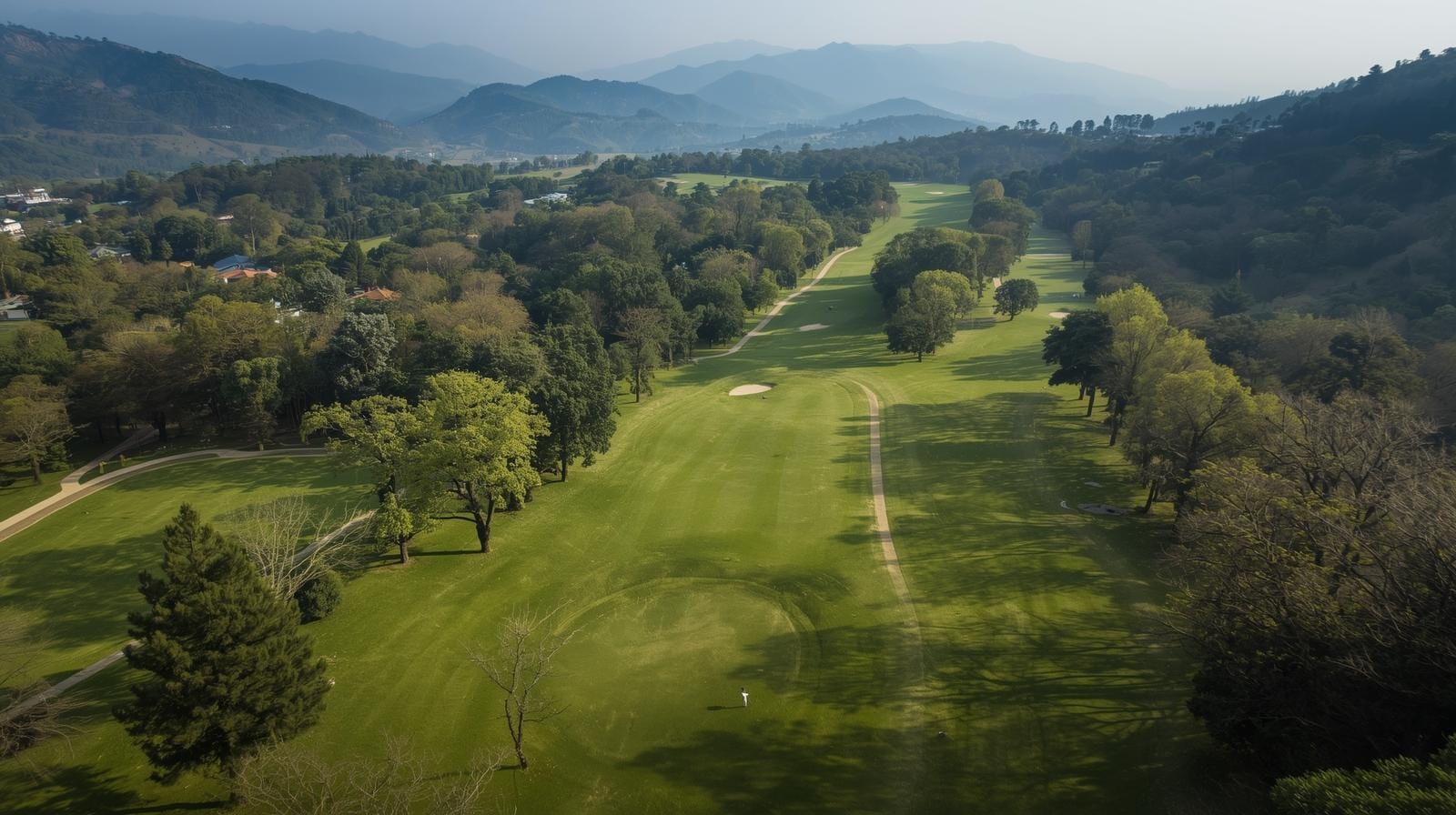 Shimla Naldehra Mashobra Tour