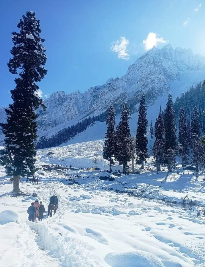 Sonamarg Excursion - Thajiwas Glacier & Golden Meadow