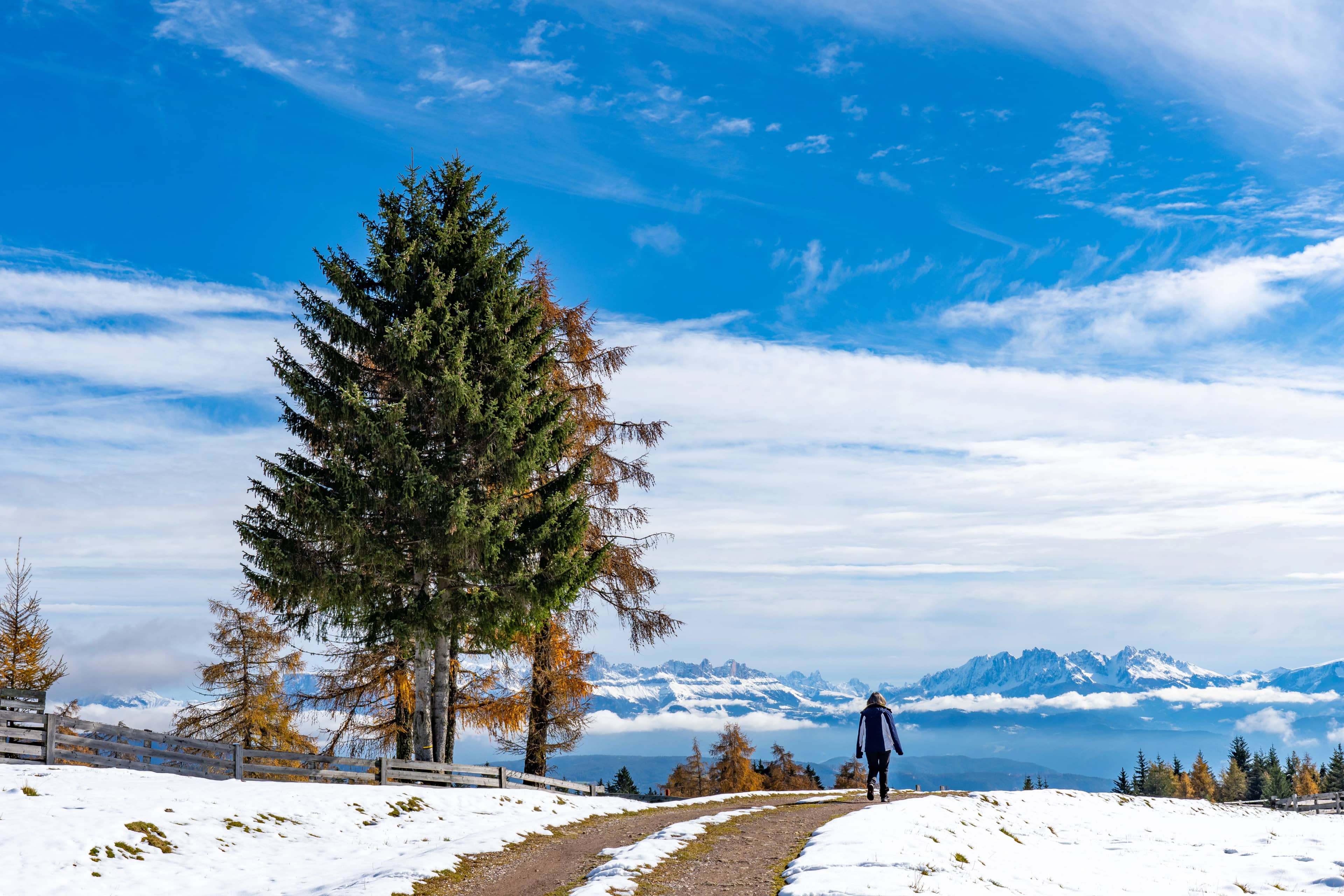 Taxi Service in Manali