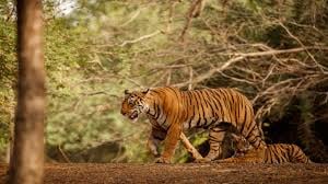 Delhi to Alwar round trip cab