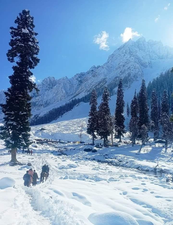 One-way cab from Delhi to Sonamarg — Sonamarg city view