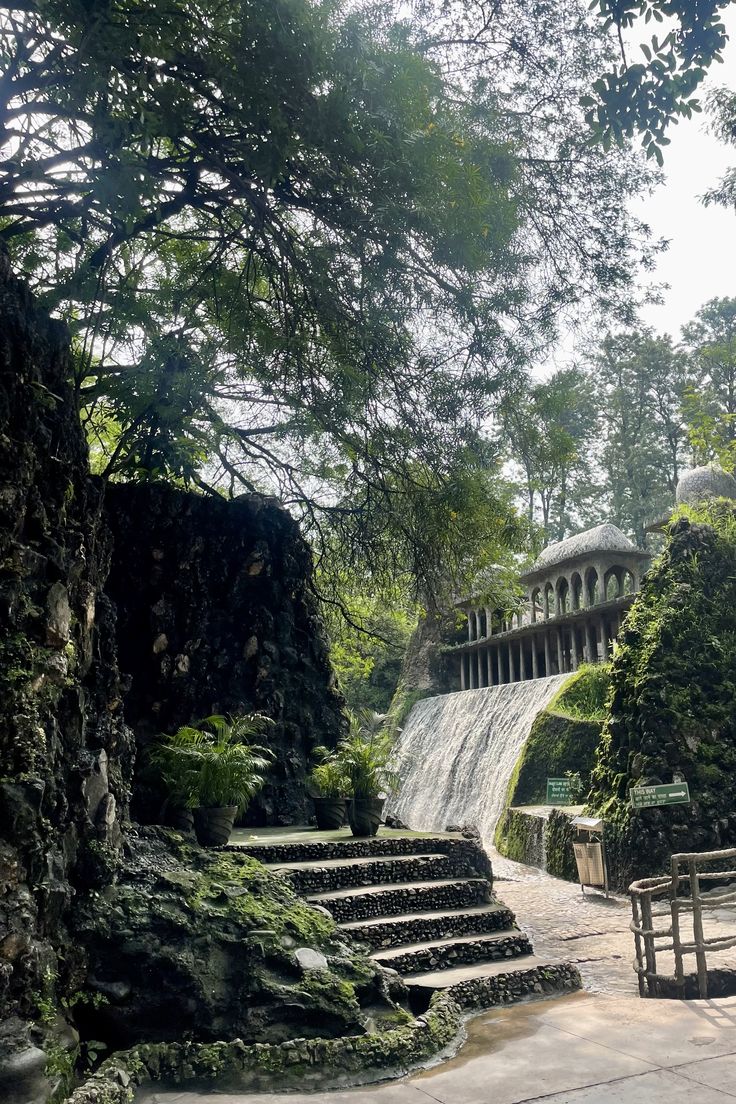 Rock Garden